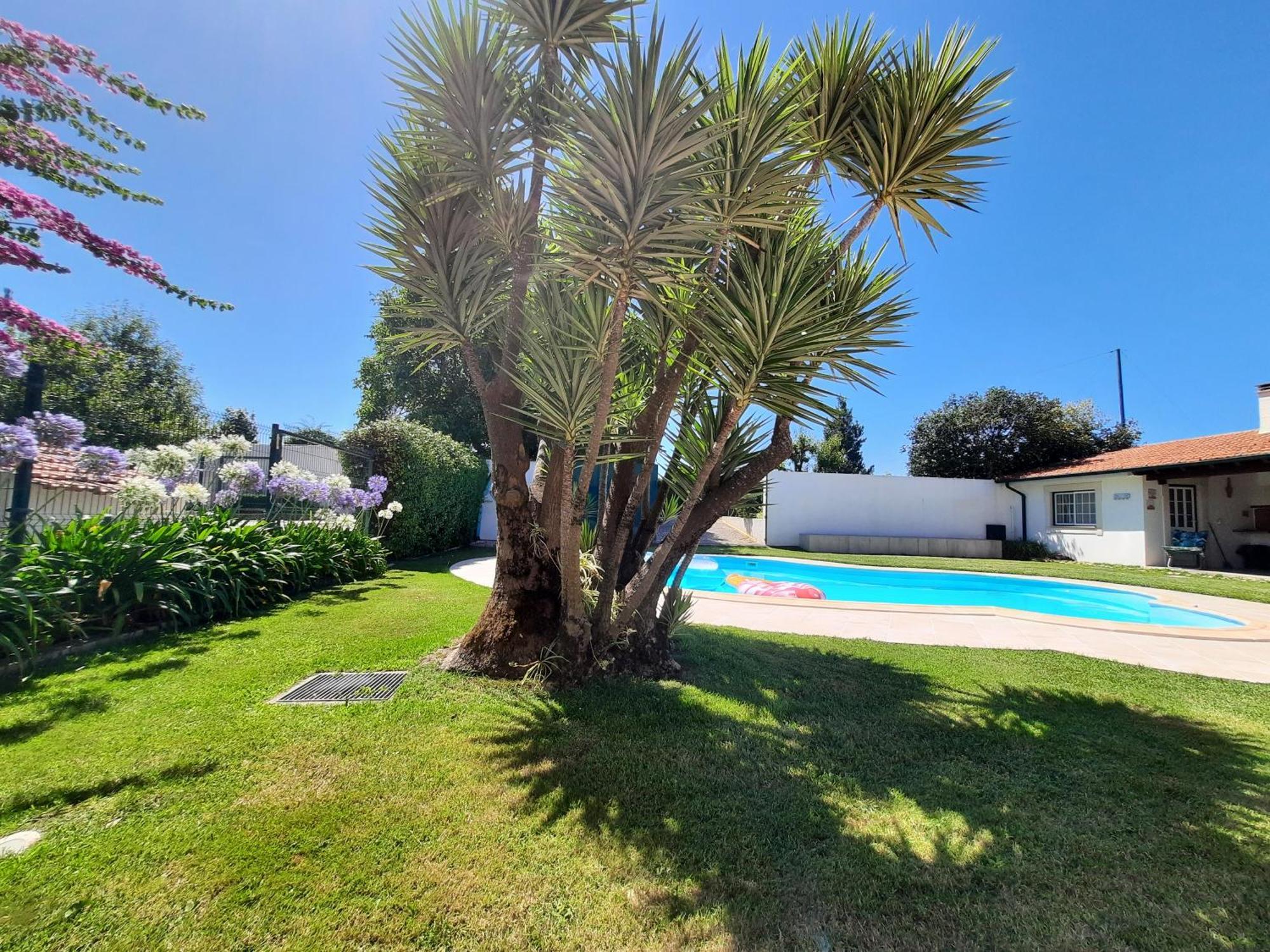 Qm - Quinta Da Morgadinha - Casa Em Quinta Rural Villa Cabecos Exteriör bild