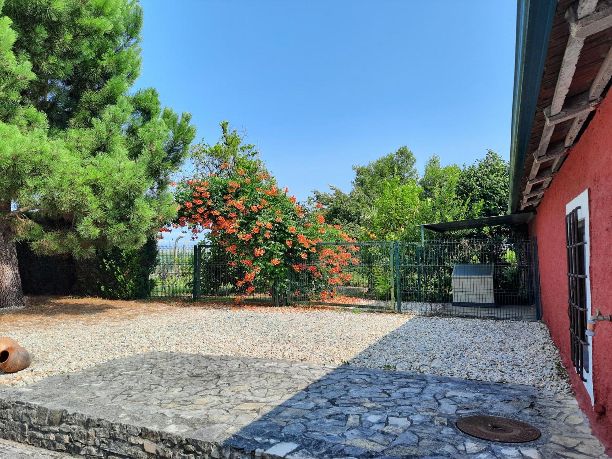 Qm - Quinta Da Morgadinha - Casa Em Quinta Rural Villa Cabecos Exteriör bild