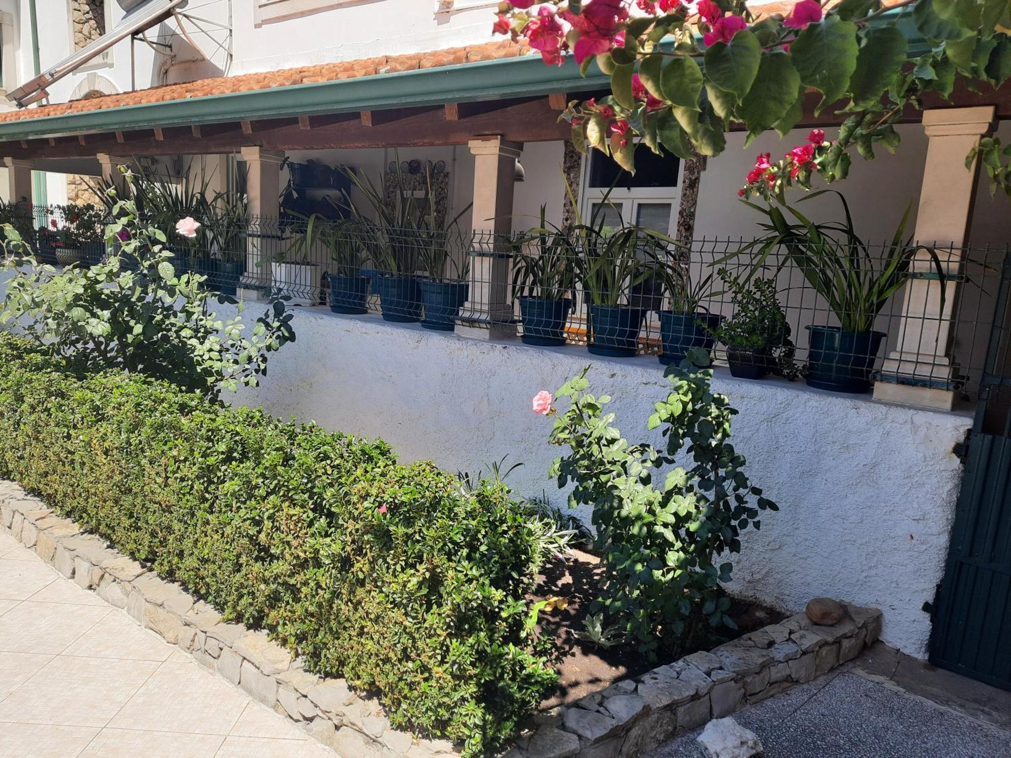 Qm - Quinta Da Morgadinha - Casa Em Quinta Rural Villa Cabecos Exteriör bild